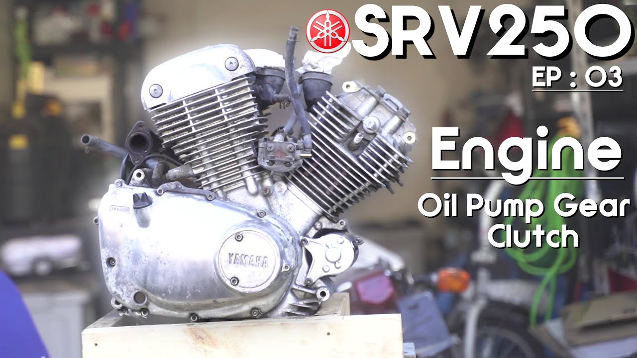 【SRV250レストア③】降ろしたエンジンをリフレッシュする！オイルポンプギヤとか持病系【レストア】
