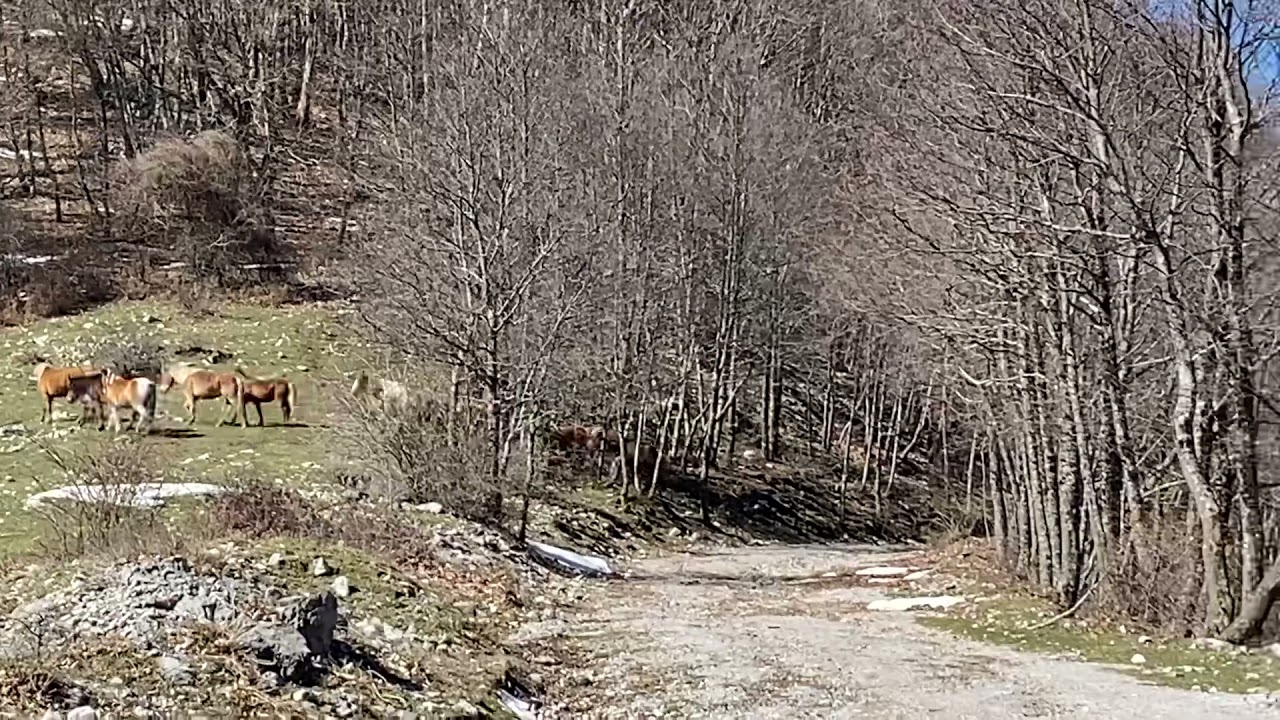 Inghiottitoio di VALLIVONA - Monte Cervsti