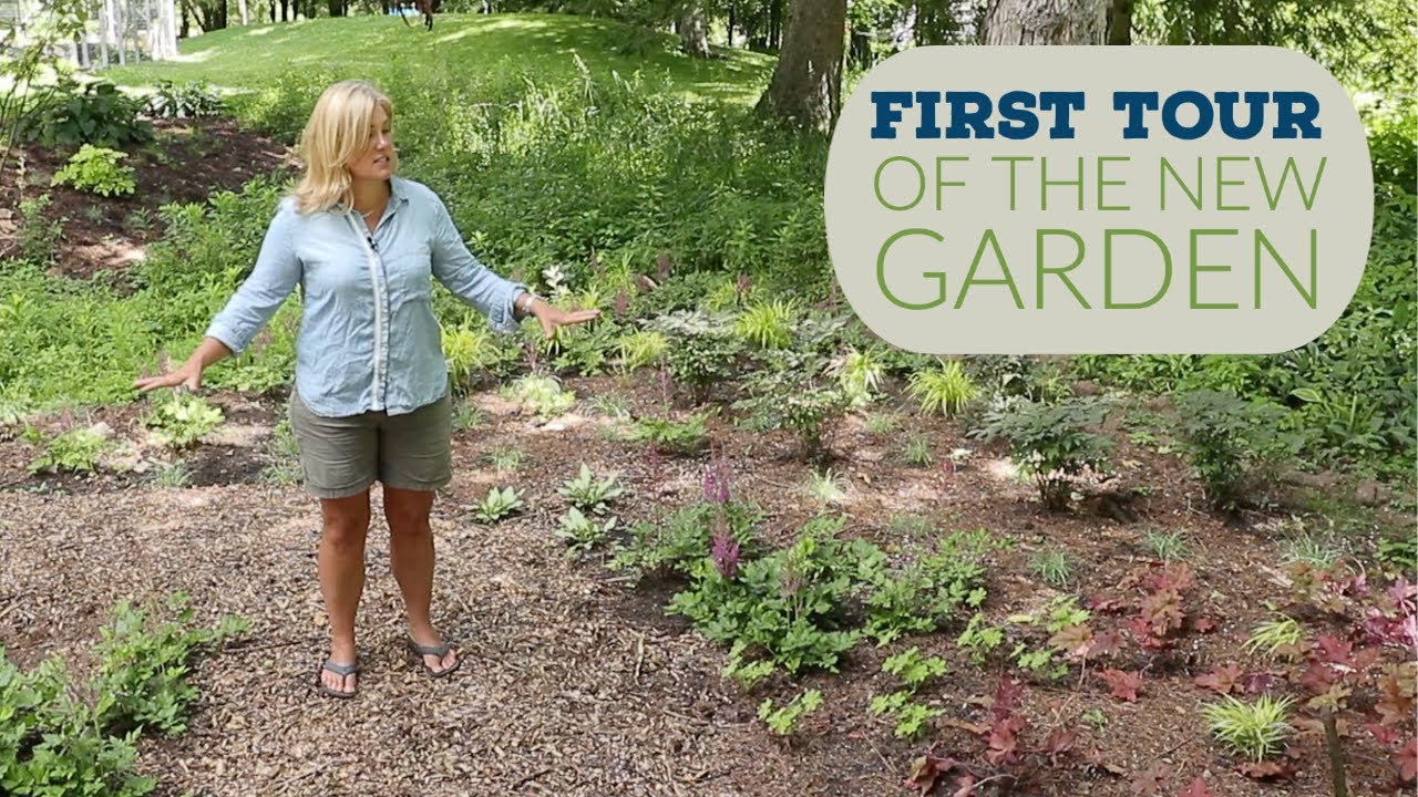 The first tour of the new garden | The Impatient Gardener