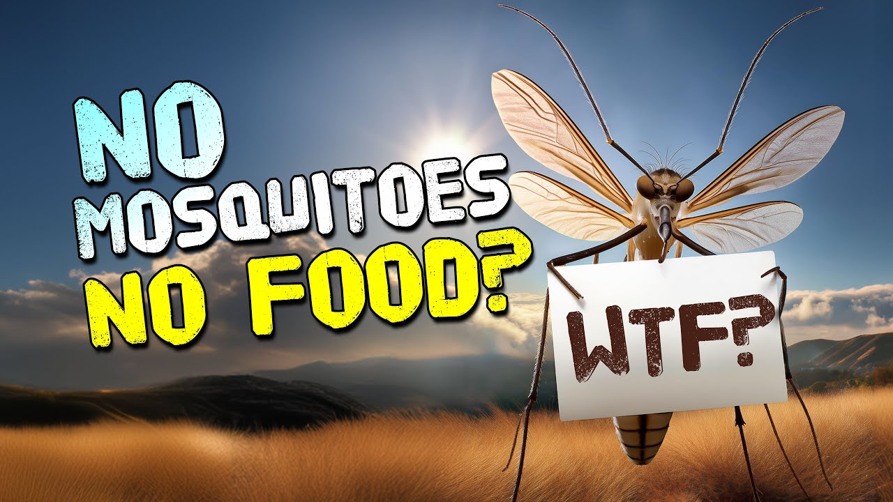 I HATE ALL MOSQUITOES... EXCEPT FOR THESE...