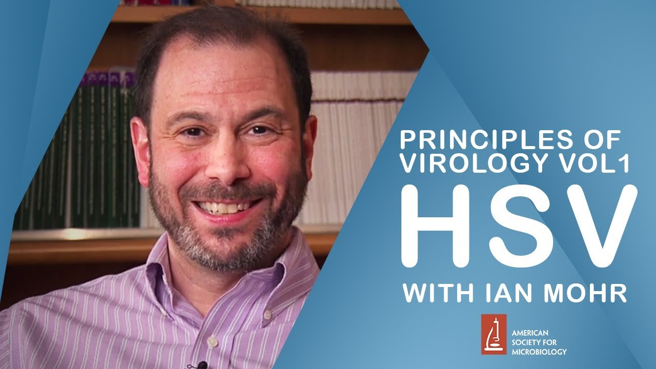 Interactions between viruses and their cellular hosts with Ian Mohr.
