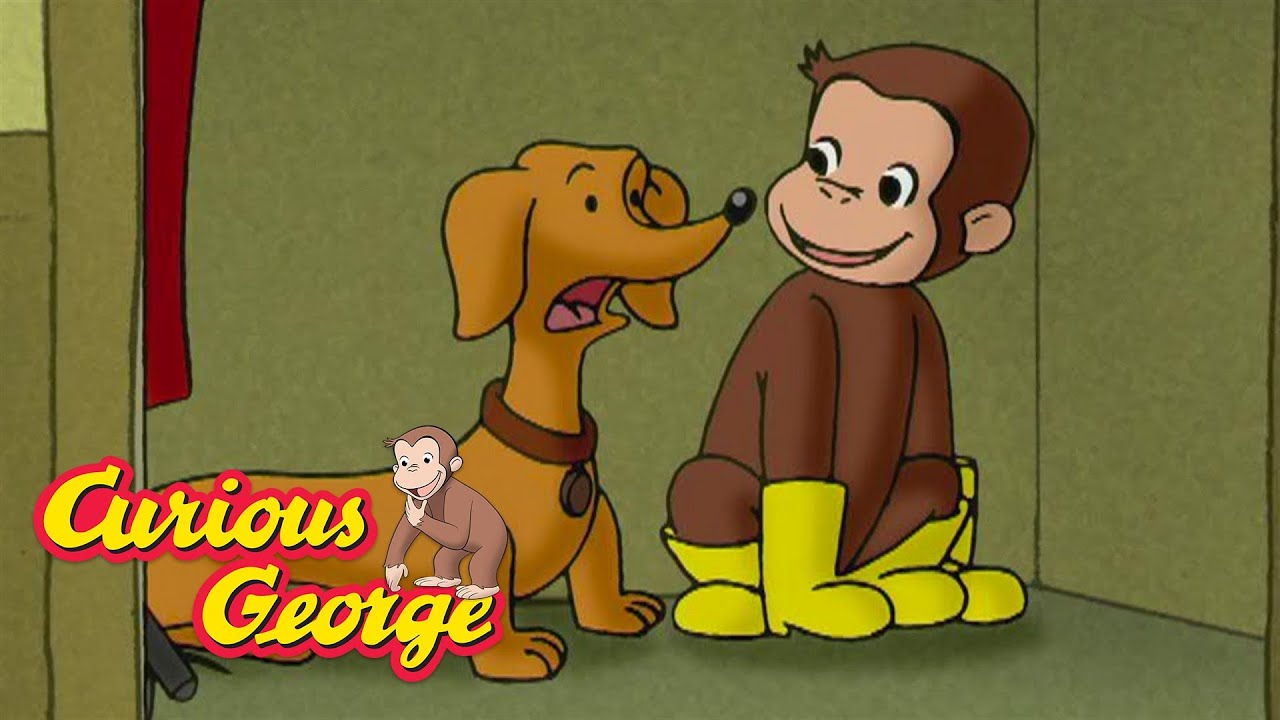 George Is A Good Dog! 🐵 Curious George 🐵 Kids Cartoon 🐵 Kids Movies