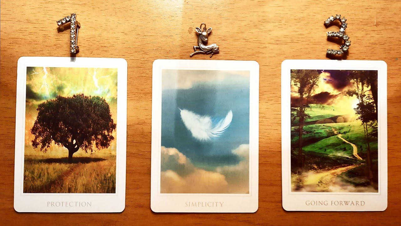 THE SIGN YOU ASKED FOR! 🌳🕊🏞 | Pick a Card Tarot Reading