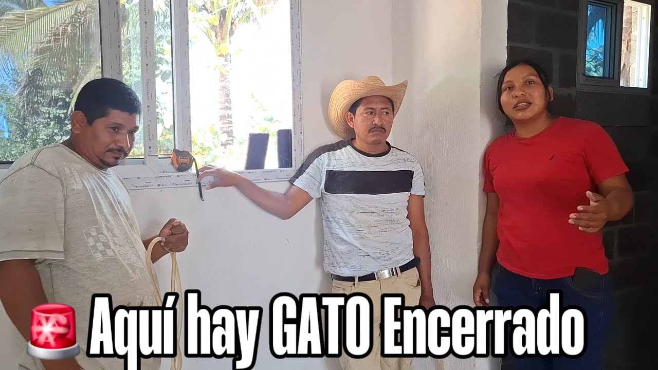 Xq no se lo dicen a PABLO? Casos de la vida real que PABLO al enterarse se enojará.