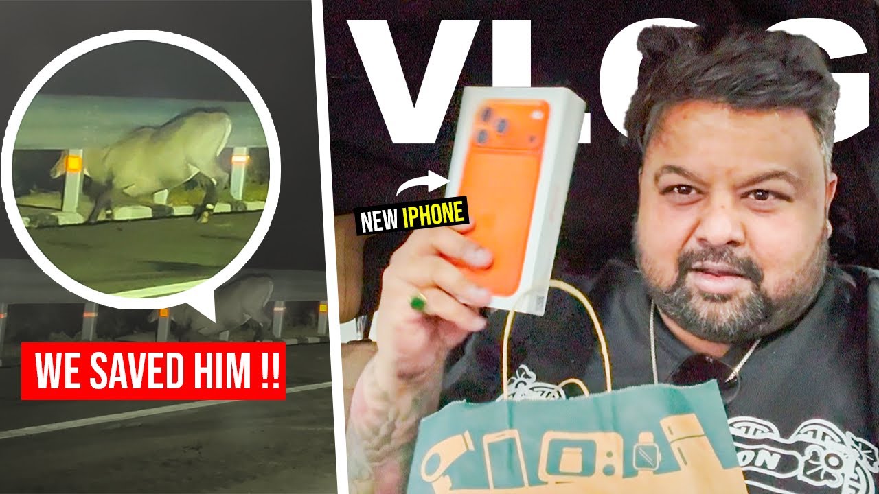 Defender Diaries : Epic Delhi to Mumbai Road Trip 🦌  Deer rescue & Double Iphone gift ! Vlog