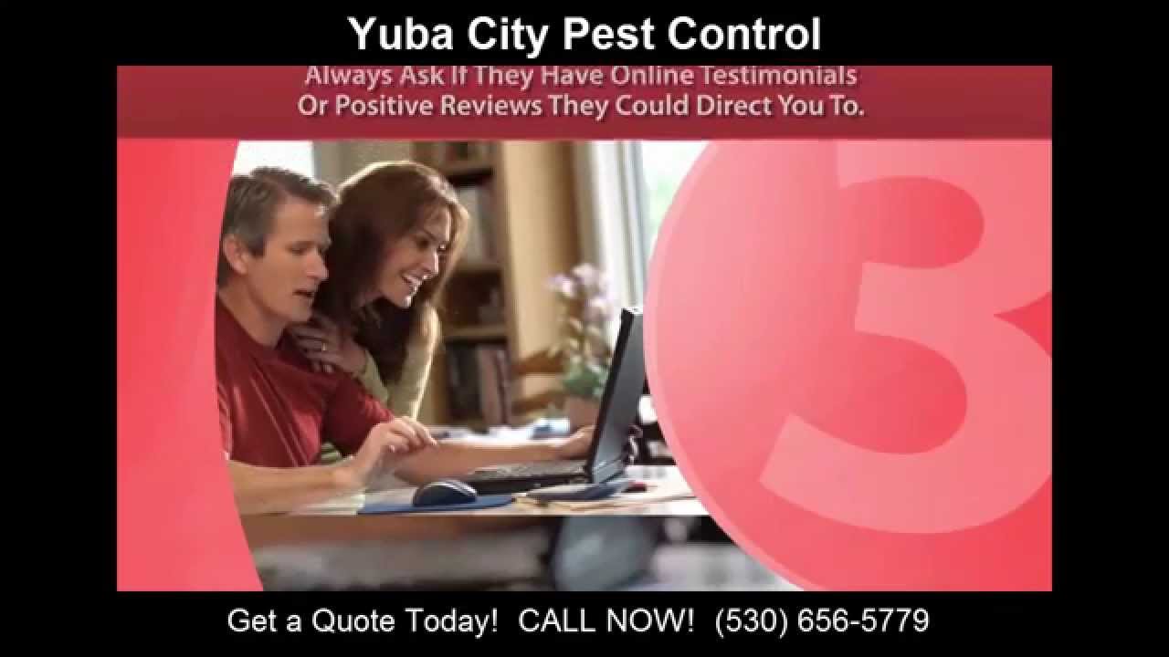Yuba City Pest Control | (530) 656-5779 | Pest Control Yuba City CA