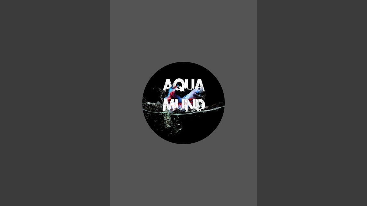 Aqua Mund está ao vivo!