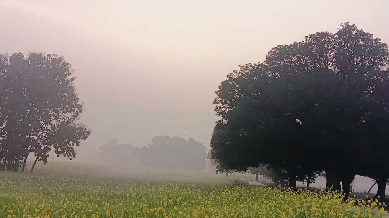 हमारे गांव का खूबसूरत सुबह अपने दोस्त के साथ इंजॉय किया सुबह सुबहमें गुड मॉर्निंग फ्रेंड हमबिहार से💙
