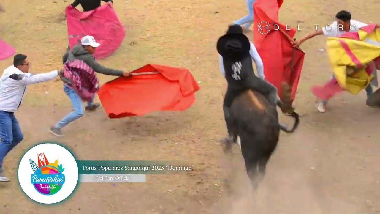 TOROS POPULARES 