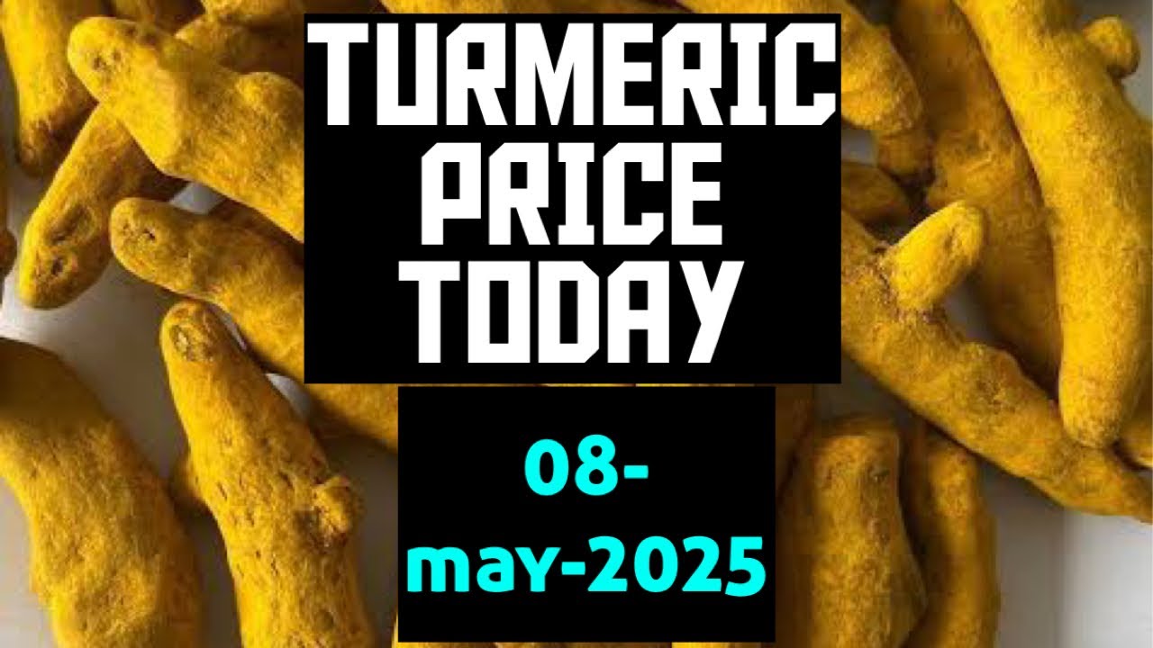 TURMERIC PRICE TODAY 8 May 2025