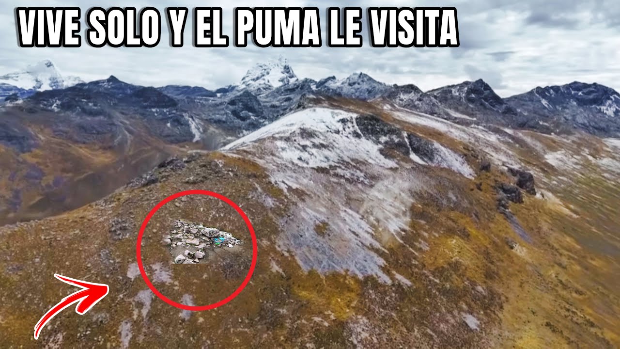 La VIDA REAL de un pastor en las FRÍAS MONTAÑAS rodeado de PUMAS, las alturas de mi Pueblo 