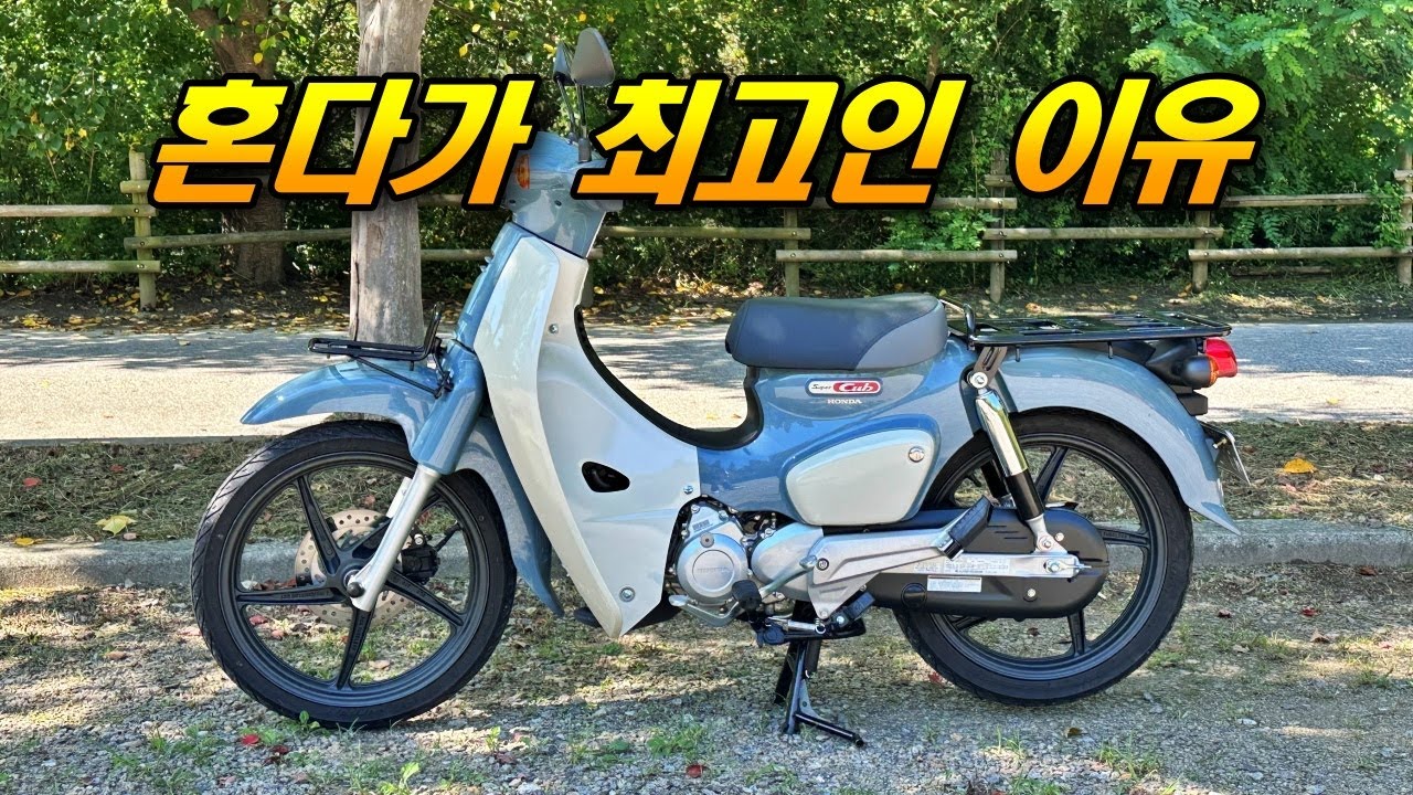 혼다 슈퍼커브 - 바이크는 위험하다 느끼던 사람이 7년째 타고 있는 이유