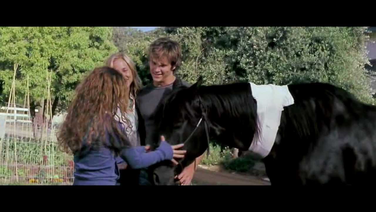 Flicka || Say What You Need To Say