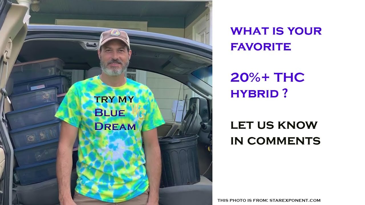Five of the Highest THC Strains to Grow that Sell (Hybrids)