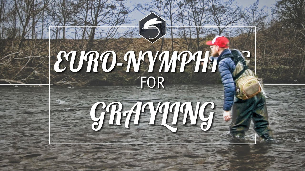 Euronymphing for Winter Grayling | Scotland | River Clydew