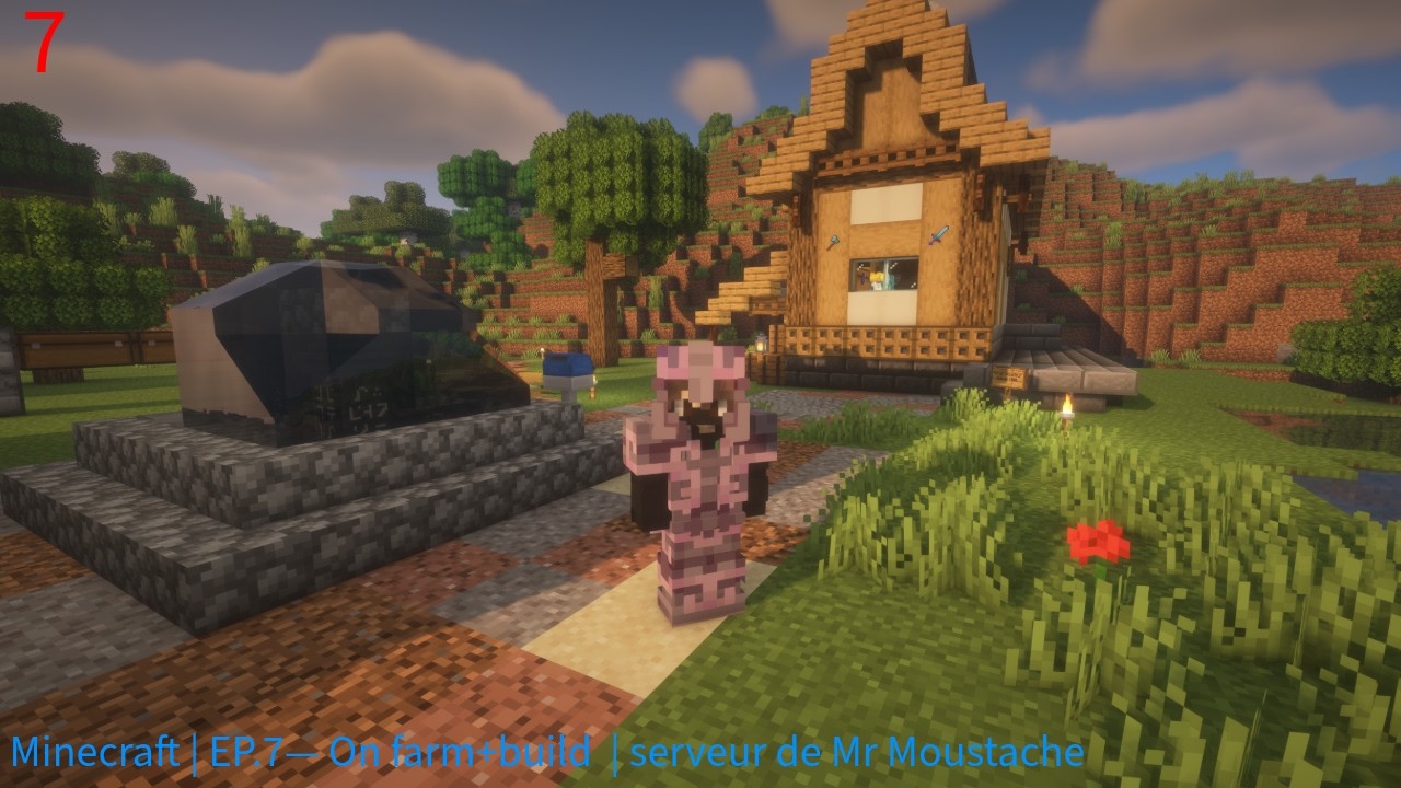 Minecraft | EP.7— On farm+build  | serveur de Mr Moustache
