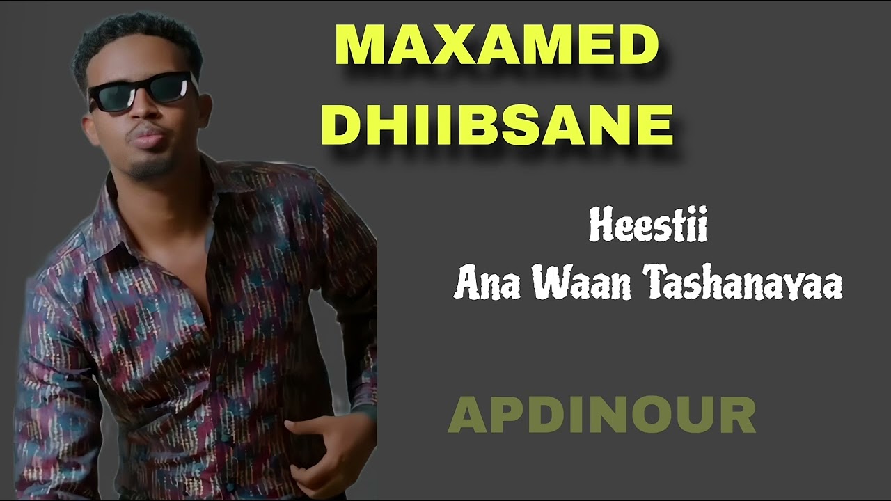 MAXAMED DHIIBSANE__HEESTII__ANA_WAAN_TASHANAYAA__OFFICIAL_MUSIC #heesocusub 