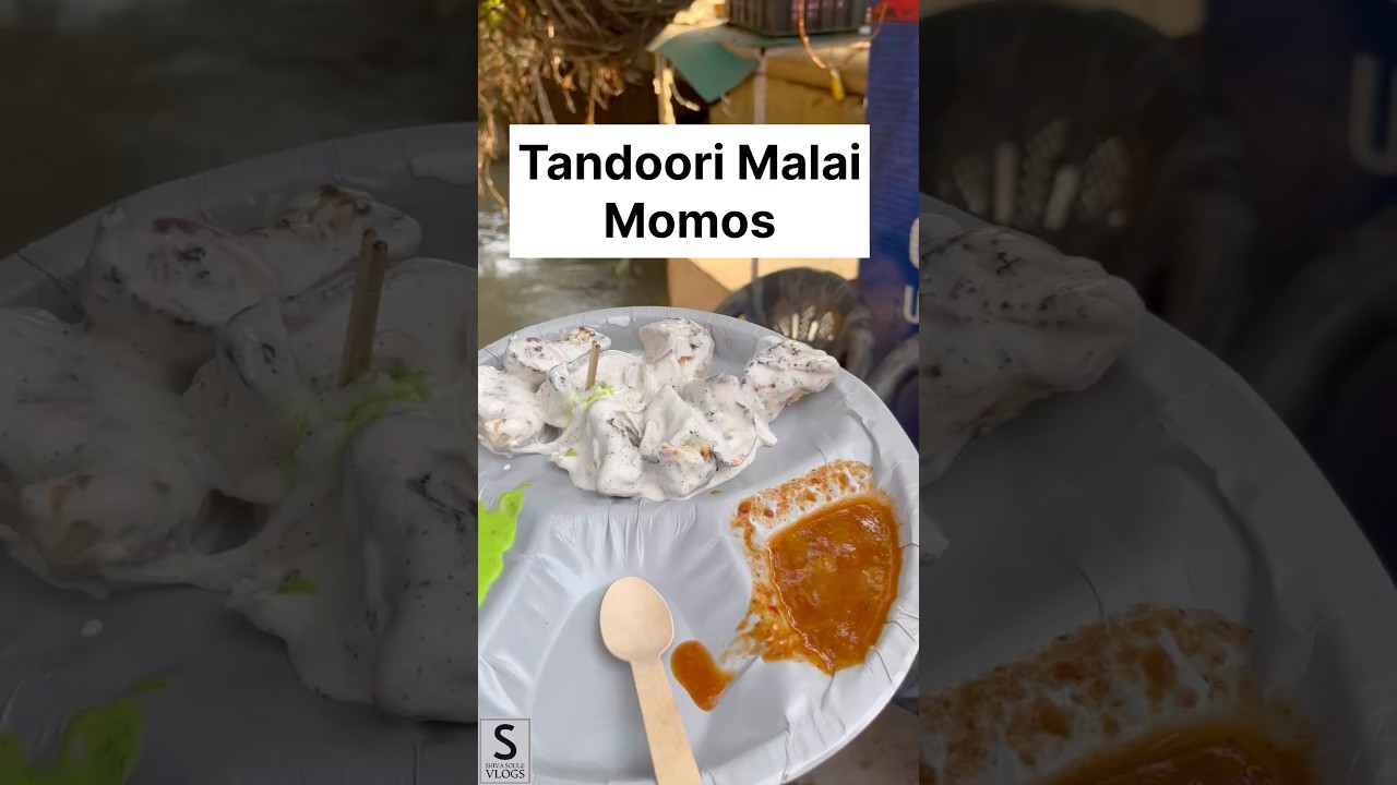Tandoori Momos in Jammu❤️| Indian Street Food 