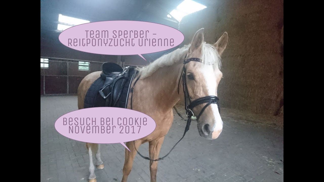 Besuch bei Cookie November 2017