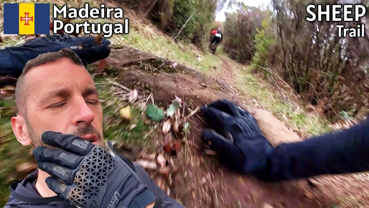 Das tat weh! 😖 Harter Sturz auf einen Stein | MEINE MTB PROTEKTOREN / AUSRÜSTUNG | Leo Kast