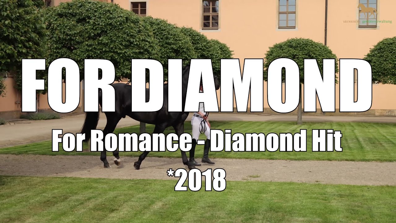 FOR DIAMOND v. For Romance I – Diamond Hit
