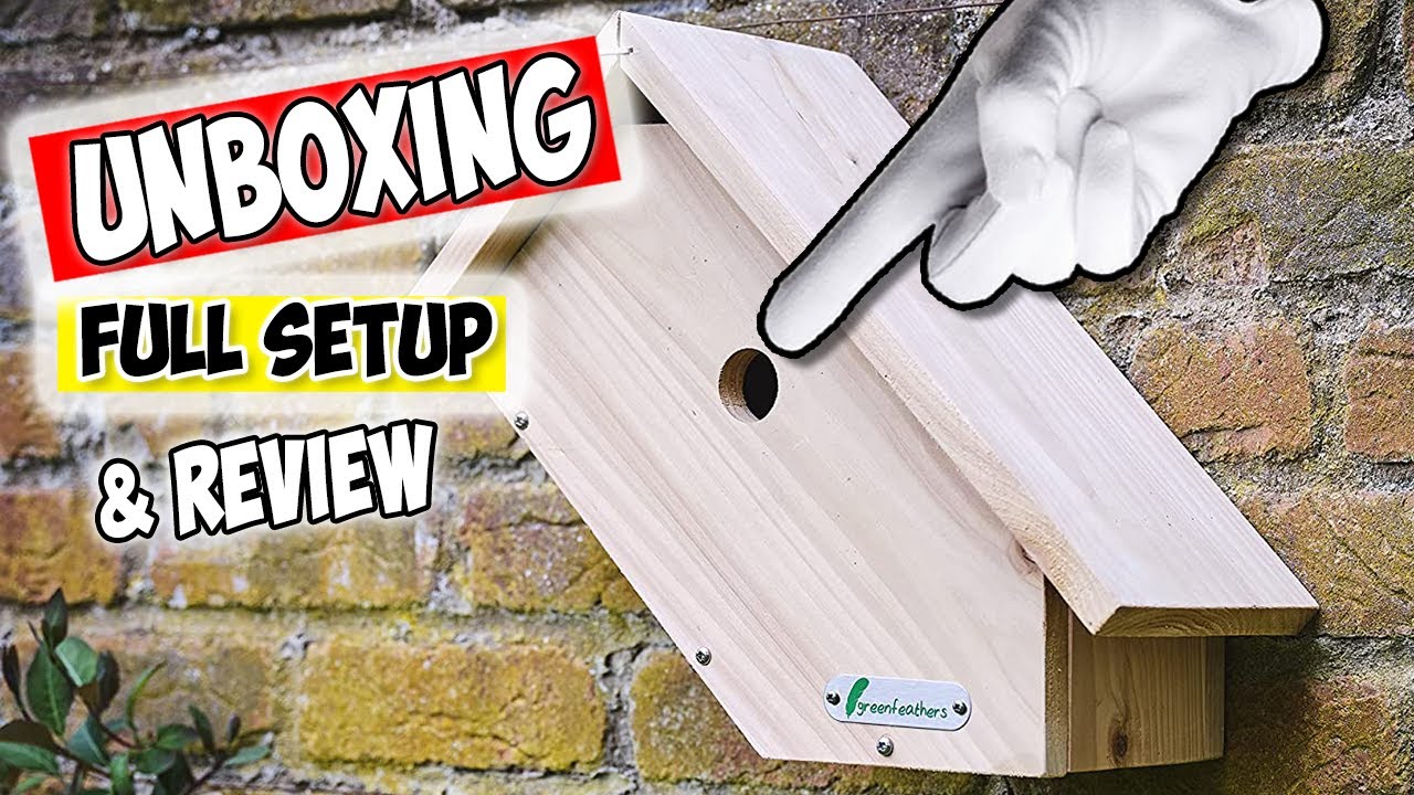 Unlock the UK's Most Incredible Bird Box Camera Secrets!