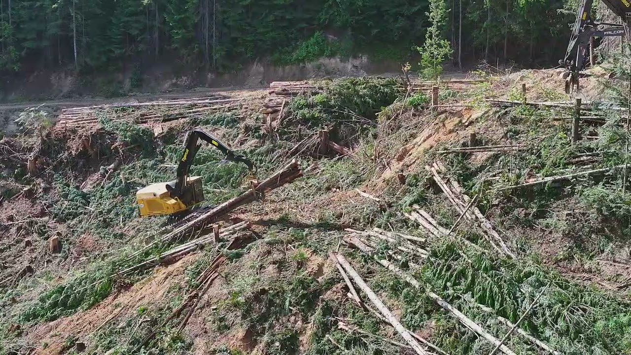 Idaho Logging - Steep Slope Shovel Logging - Tigercat LSX870D