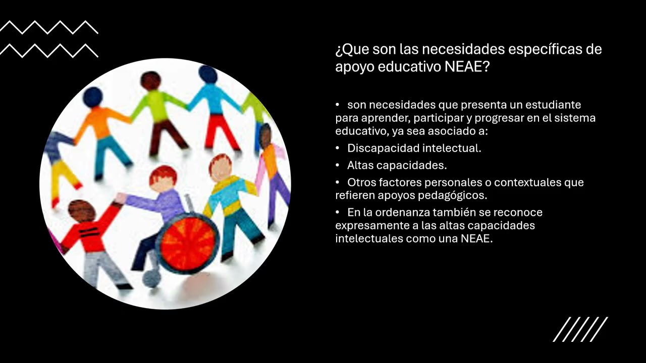 GRUPO DIVERSIDAD copia