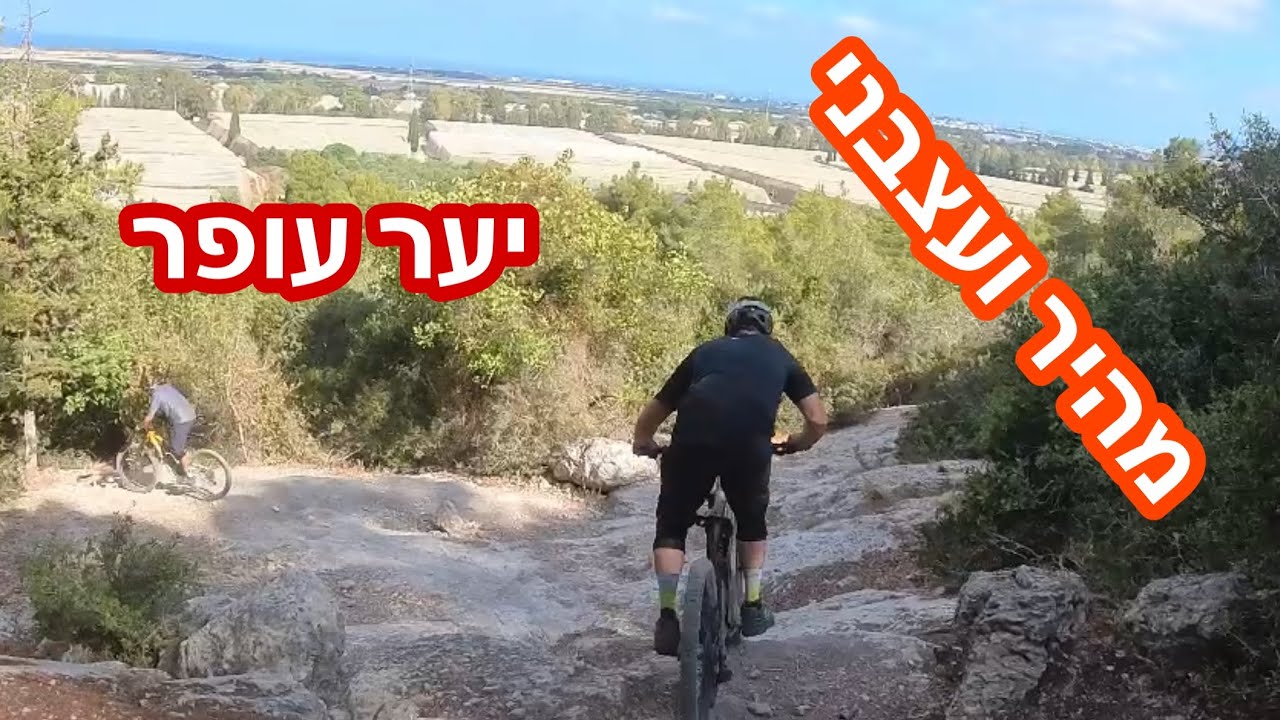 יער עופר בקצב מסחרר