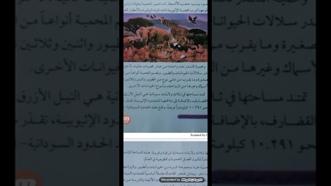 لغة عربية الصف السادس /قراءة