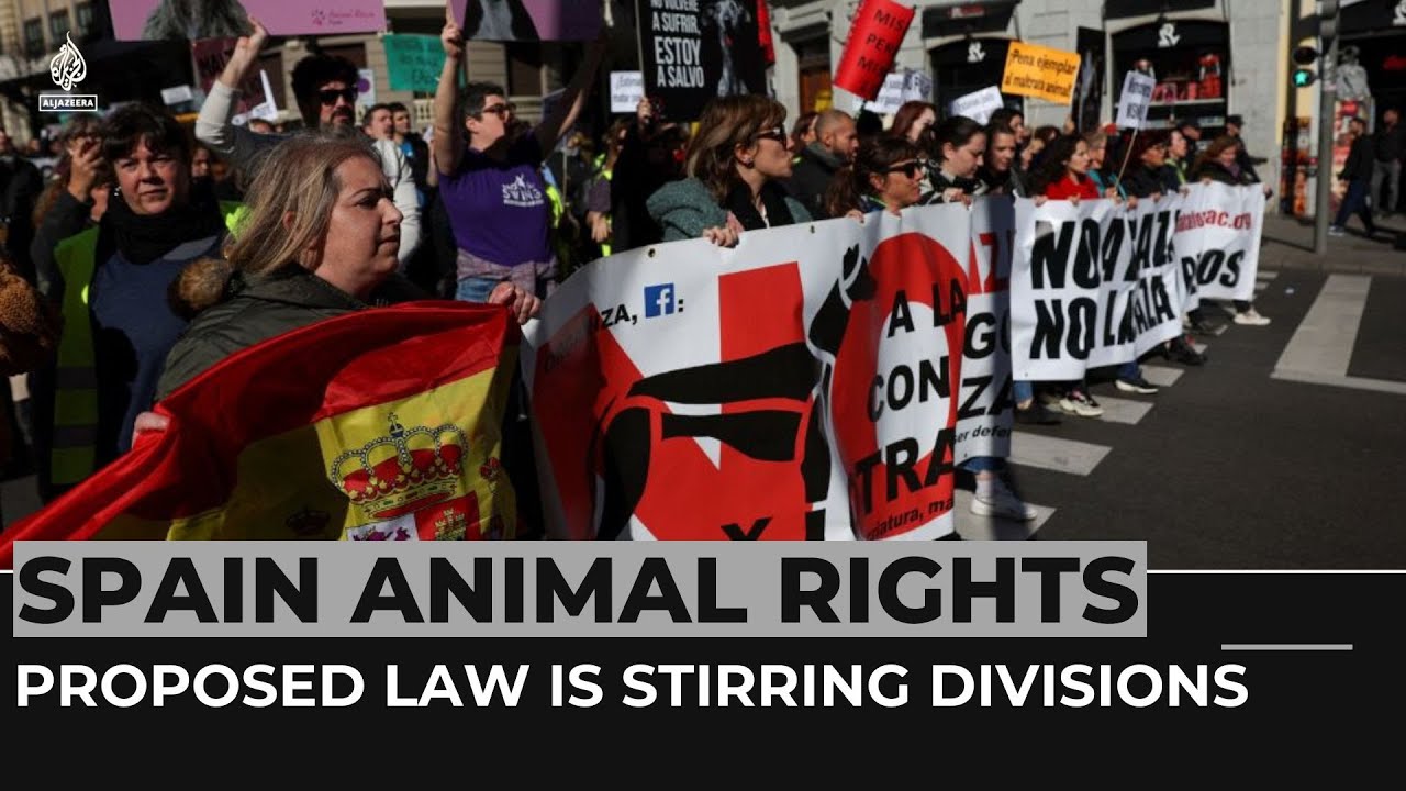 Spain: Parliament to vote on controversial animal rights bill