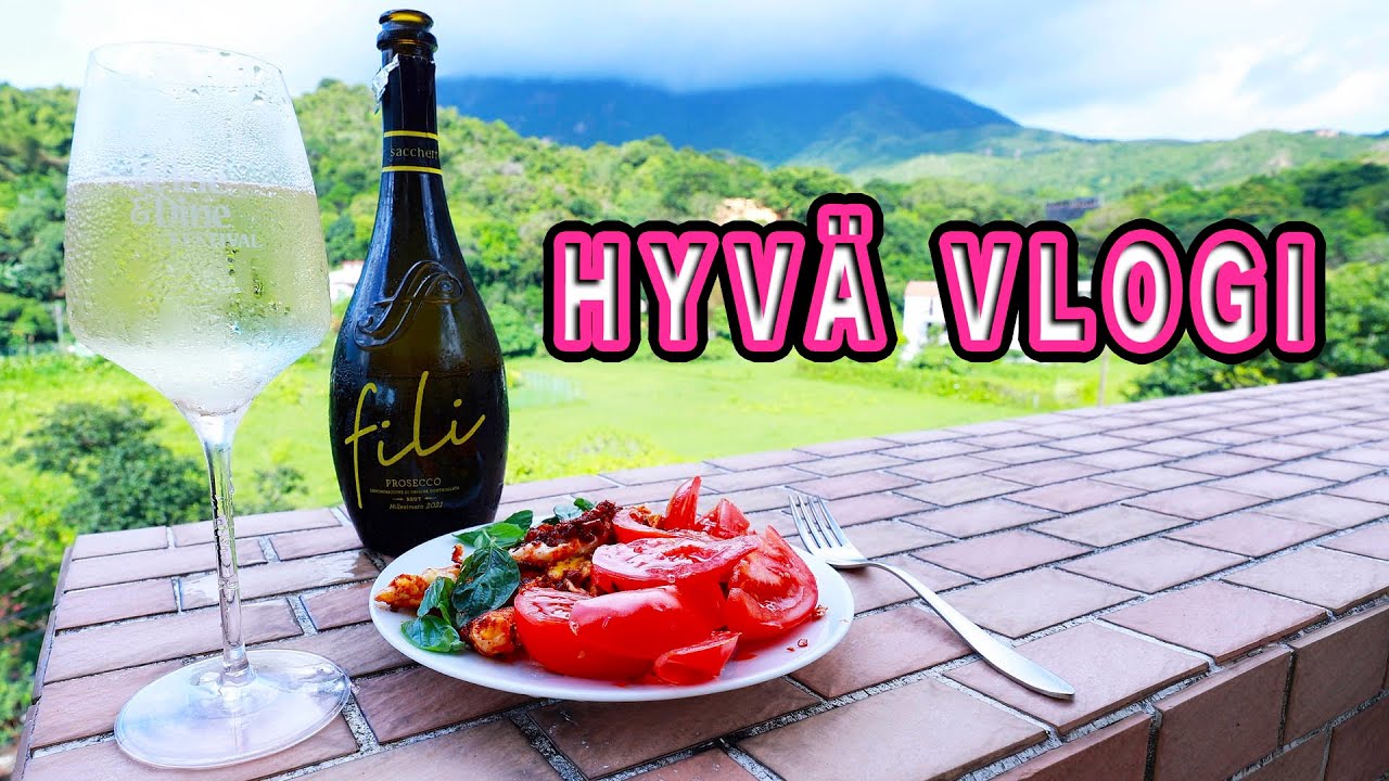 HYVÄ VLOGI
