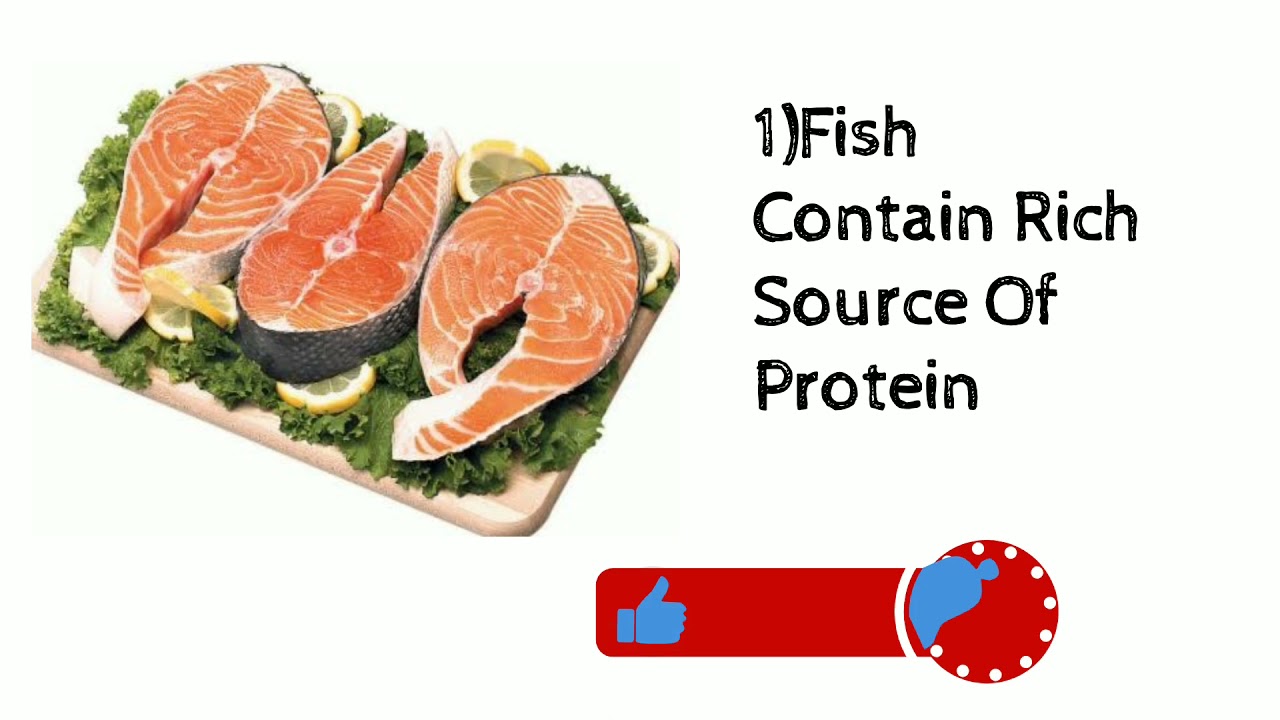 Top 5 Protein Food |Daily  Protein Food Muscle Gaim