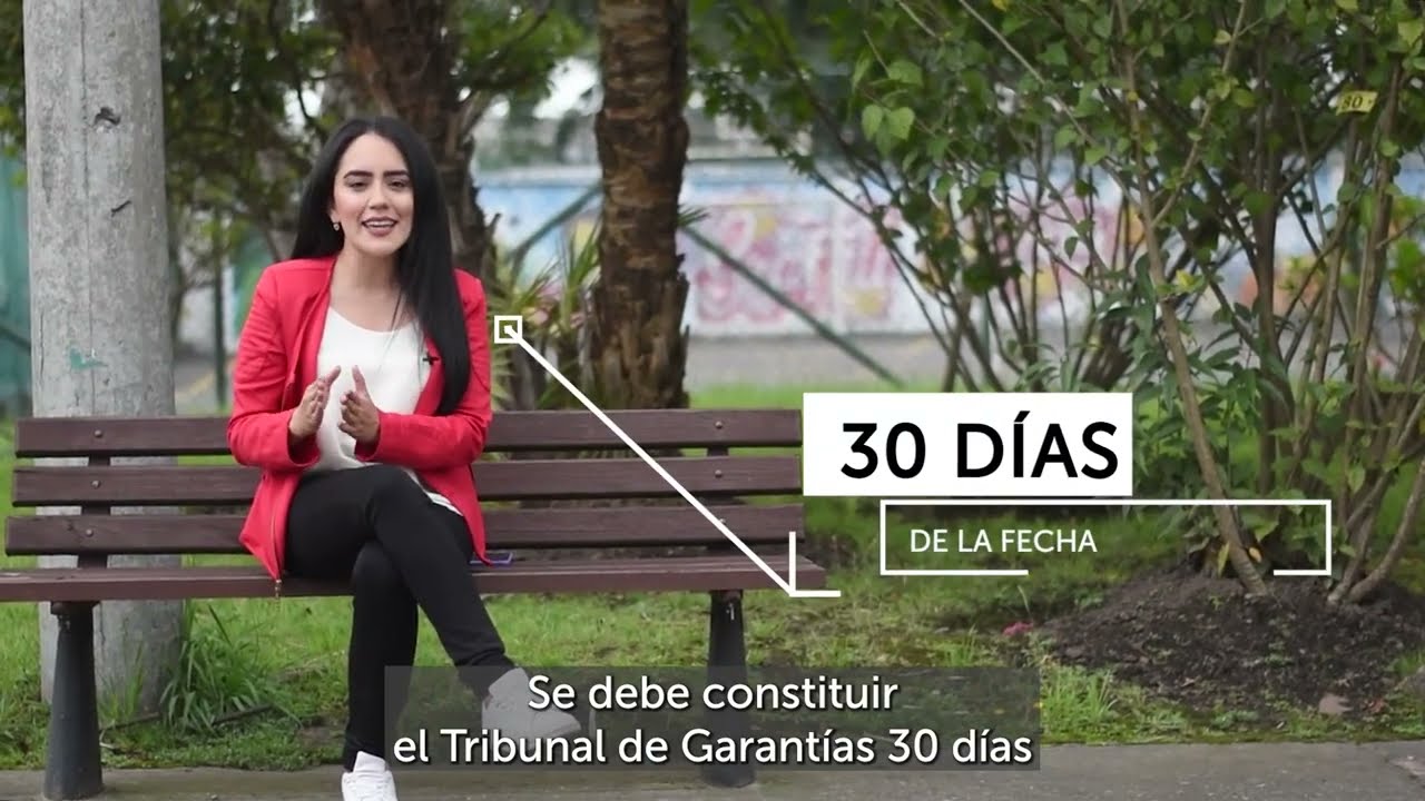 Tribunal de Garantías