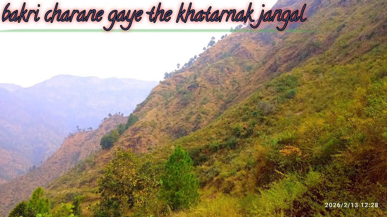 Bakari charane gye the khatarnak jangal ......!! #deliblogs #travel #viral #vloglife #video 