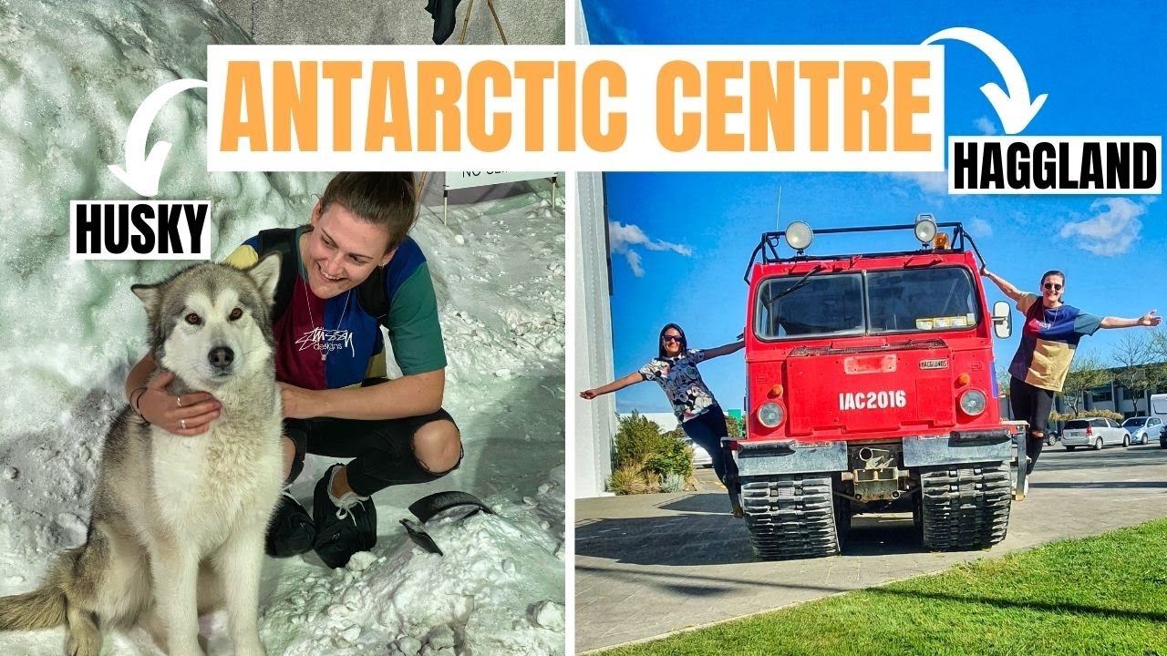 ANTARCTIC CENTRE Christchurch New Zealand (VIP PASS!!)