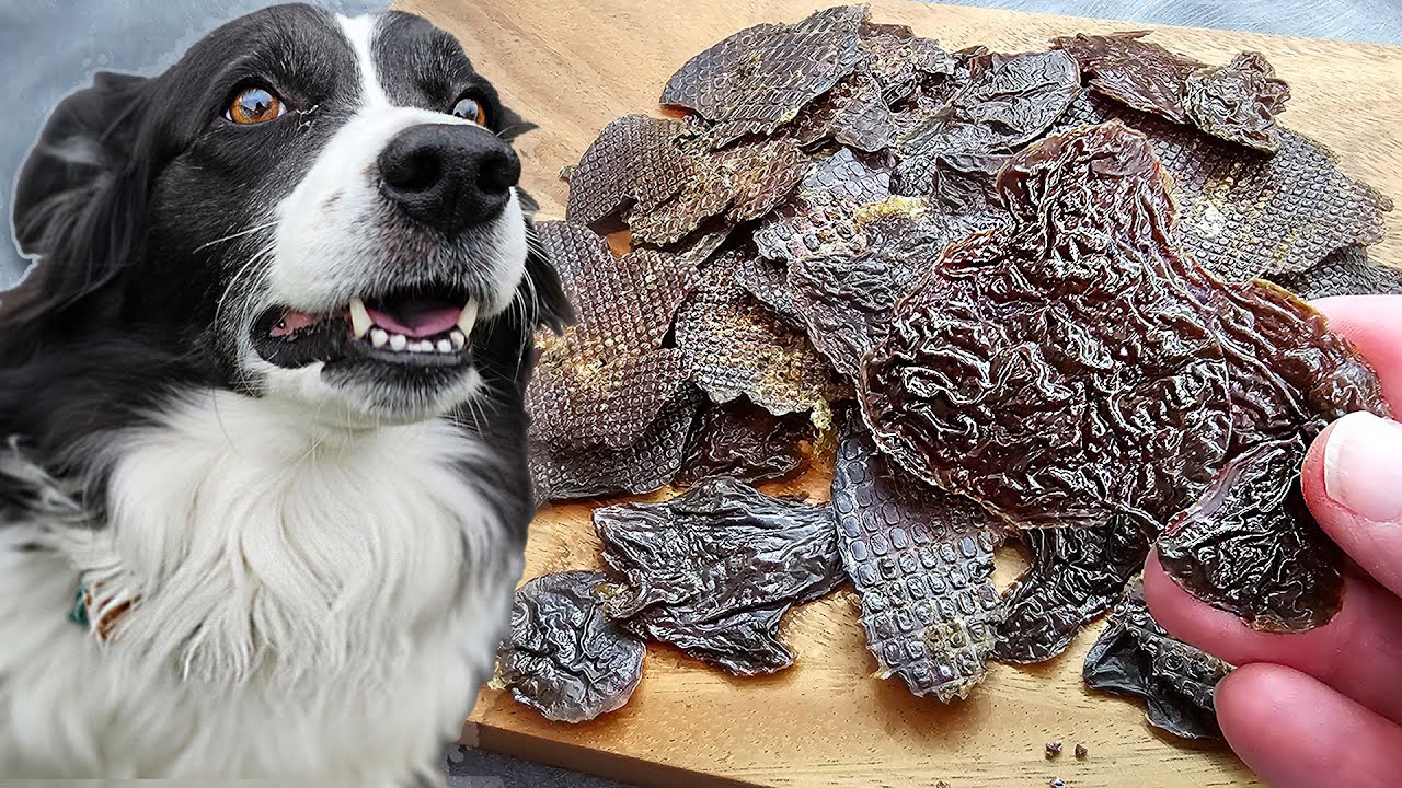 DIY Chicken Liver Jerky Treats for Dogs