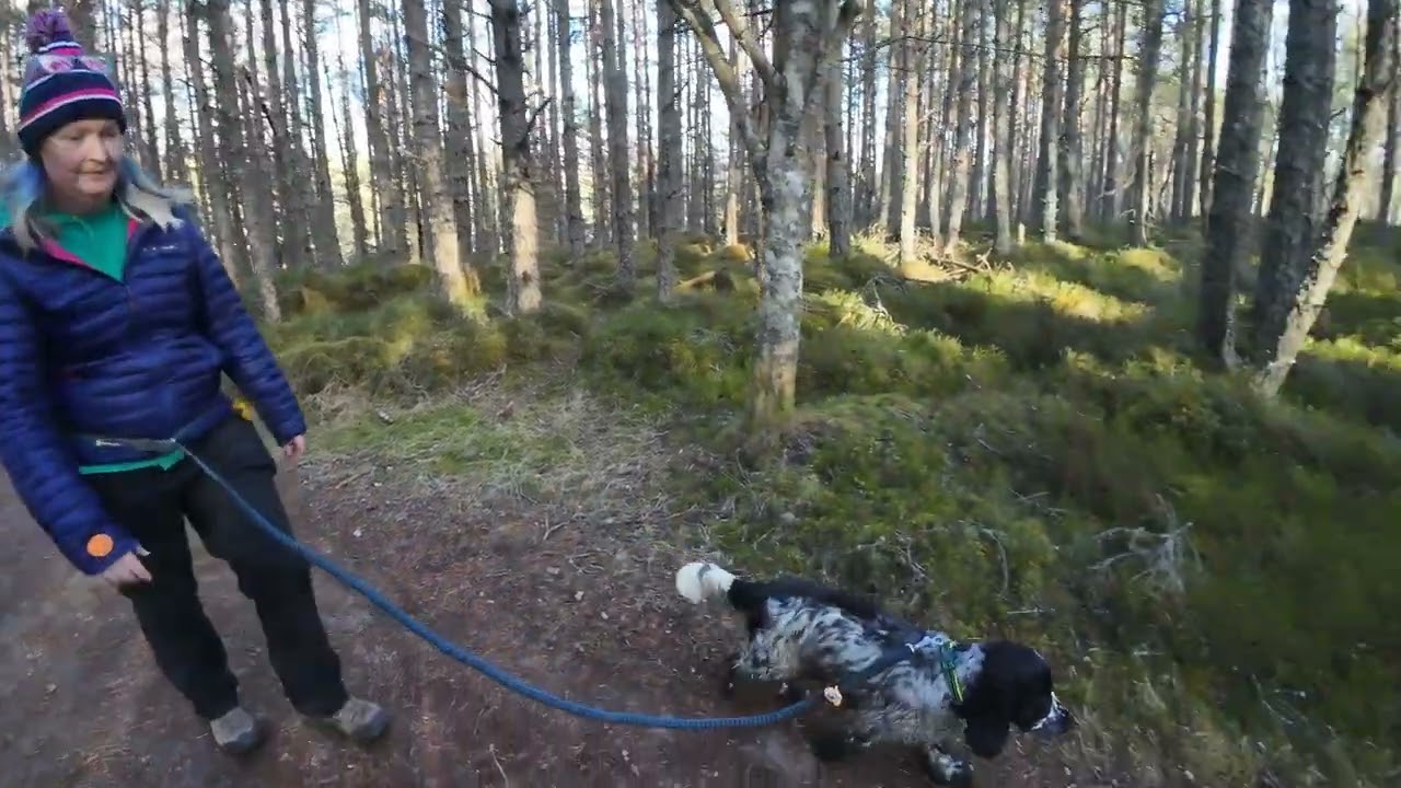 Linn of Dee, near Braemar. March 2026