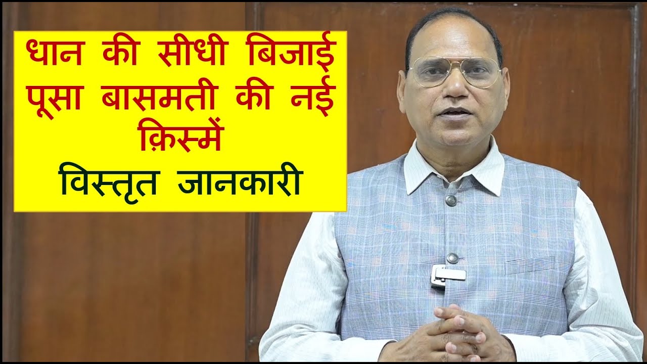 धान की सीधी बिजाई  एवं पूसा बासमती की नई  क़िस्मों की विस्तृत जानकारी