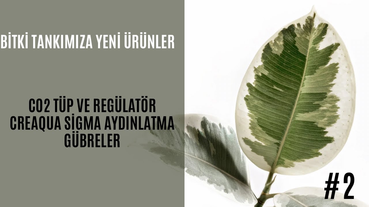 Co2 Tüp ve Regülatör A’dan Z’ye Kurulum