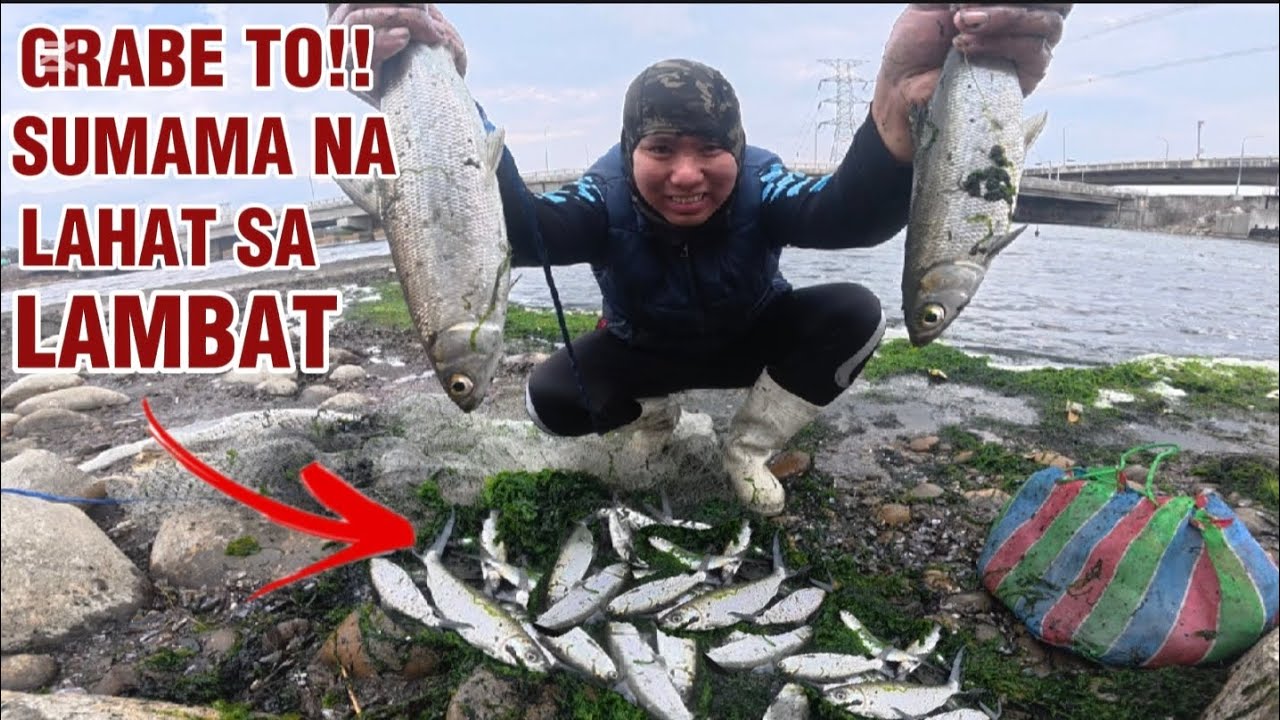 GRABE TO!! Tangay lahat ng isda sumama sa LAMBAT Walang kawala 😱 || KELOGS TV 
