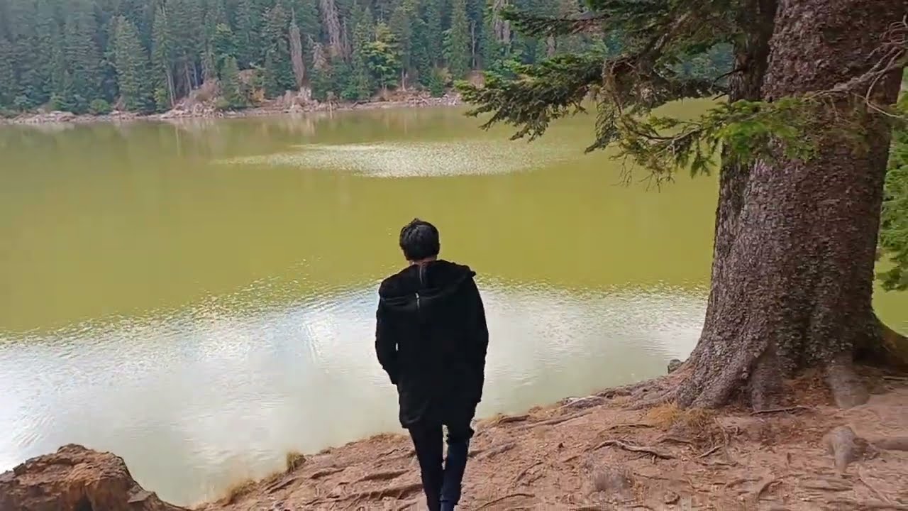 Le Lac Vert - Vosges