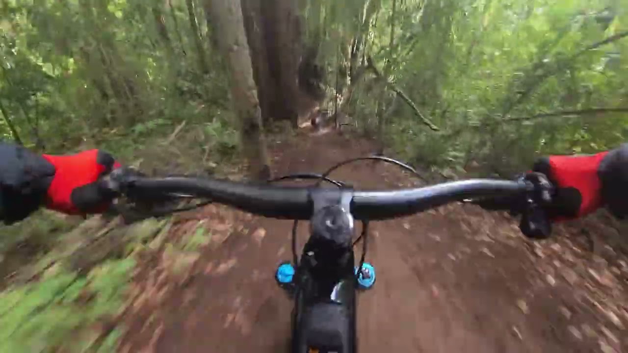 UCSC 02142026 ~ AMFLOW PL Carbon Pro test ride