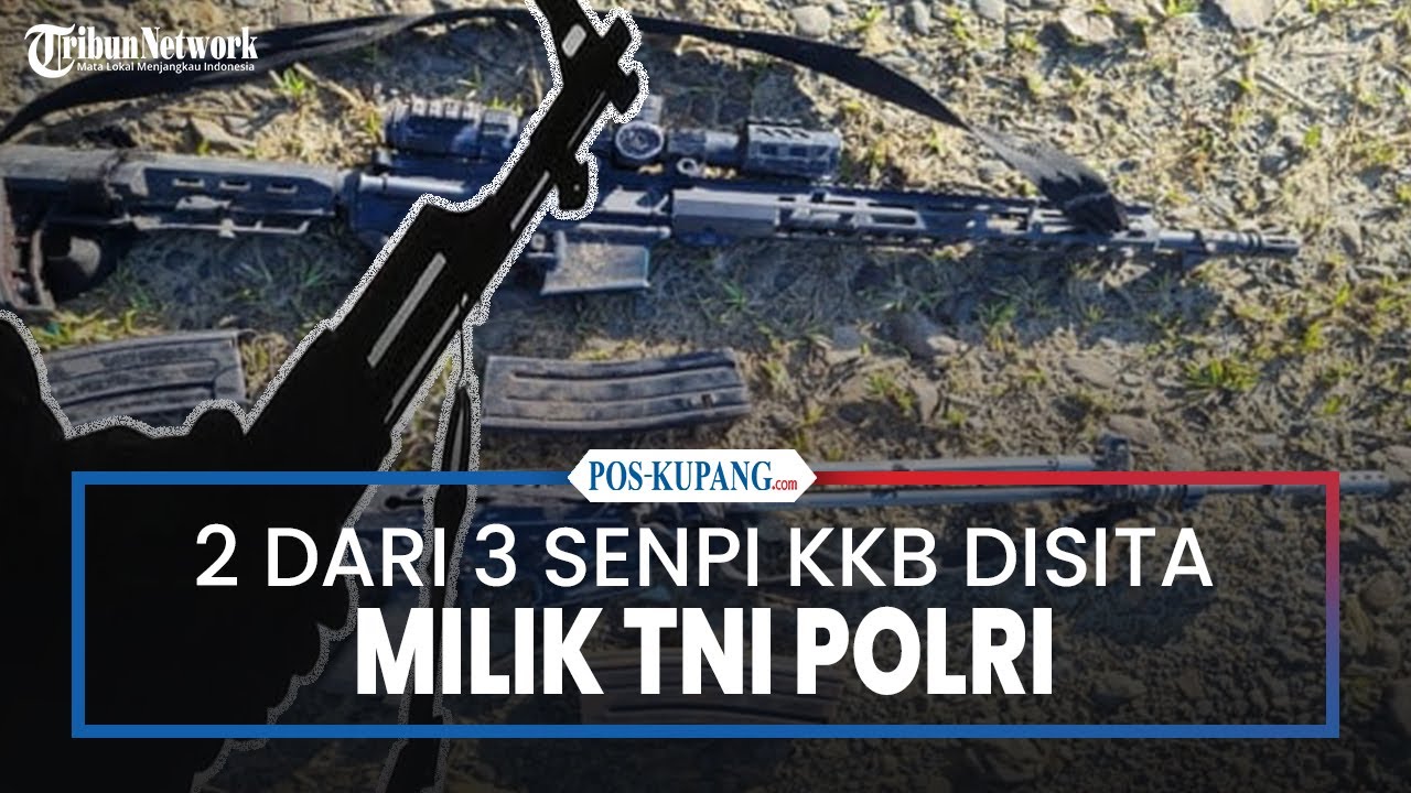 2 Senpi yang Disita dari KKB Papua Milik TNI