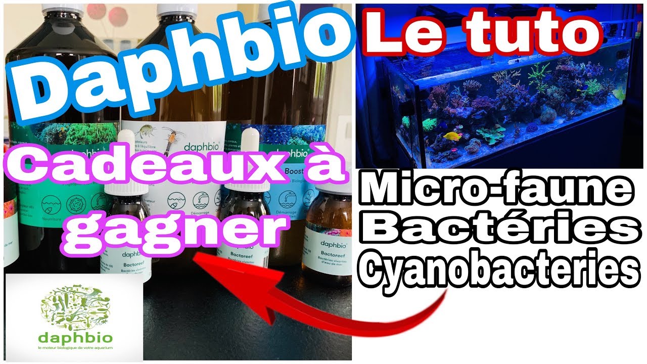 PRÉSENTATION DES PRODUITS DAPHBIO microfaune, anti cyano , bactérie récifal