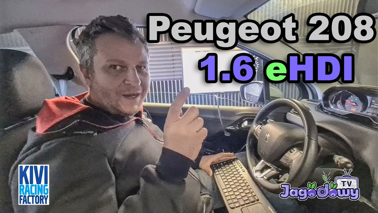 Kivi Racing Factory - Peugeot 208 1.6 eHDI