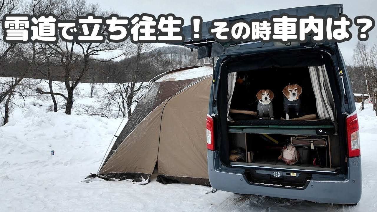 のん気に雪中キャンプを楽しんでいたら帰りの雪道で立ち往生!? -犬連れ夫婦キャンプ-