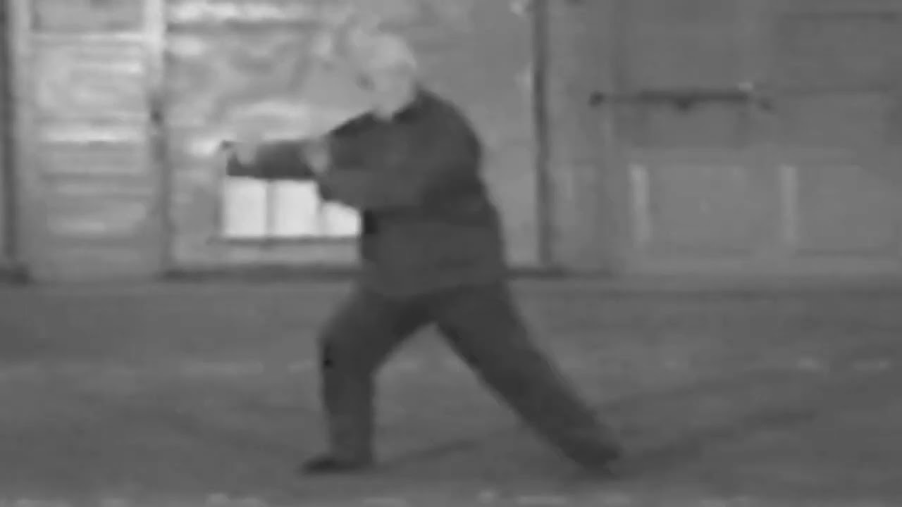Grandmaster Hong Junsheng 