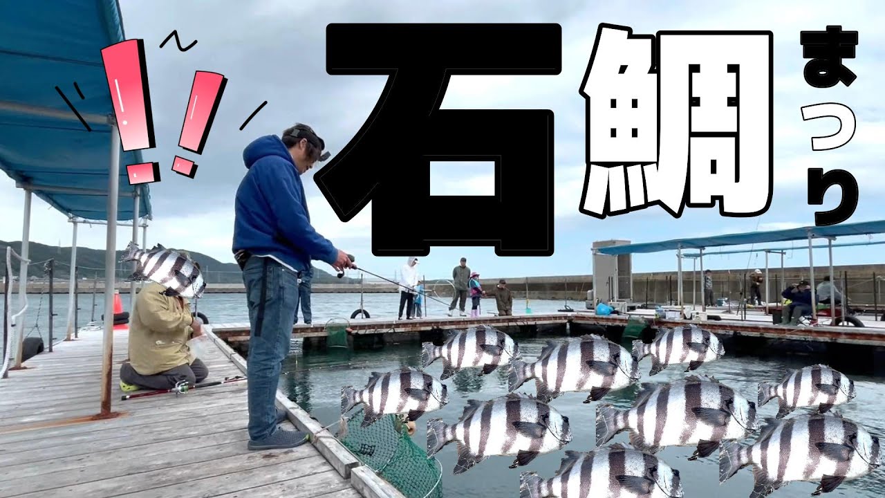 【大阪 海上釣り堀・岬】シマアジ祭りのはずが、なぜか石鯛祭りになった件