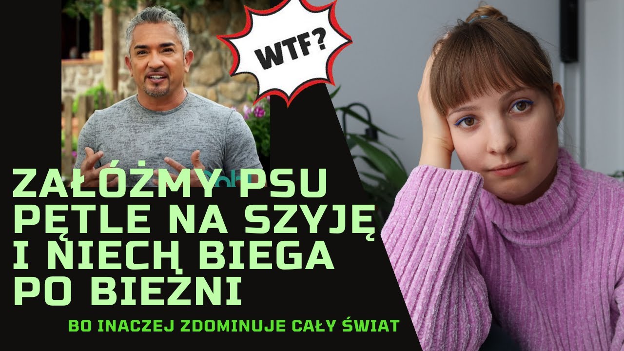 Zaklinacz psów poddusza przerażonego psa i  twierdzi, że to normalne 😫 Oceniam nieśmieszne filmiki 8